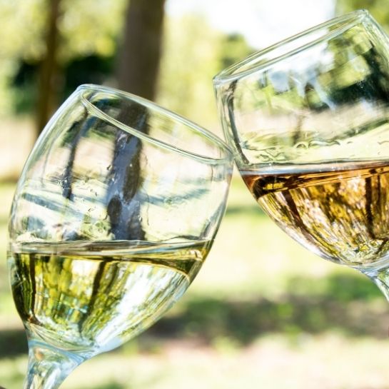 Verre de vin blanc et rosé - tchin tchin - un dimanche d'été au parc en Provence. Une dégustation proposée par la cave à vin Made In Ventoux
